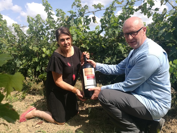 經營葡萄酒加盟生意如何賺錢